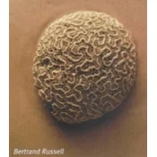 Problems of Philosophy