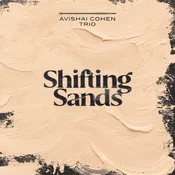 Avishai Cohen Trio - Shifting Sands (LP)
