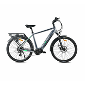 MS ENERGY eBike c101 električni bicikl