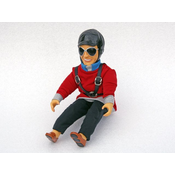 Pilot BEN (rdee)