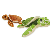 Landahl Želvica sort, 23 cm