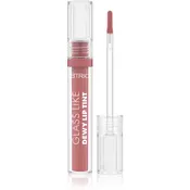 Catrice Glass Like Dewy Lip Tint visoko pigmentiran sijaj za ustnice z vlažilnim učinkom odtenek 010 Its Complicated - Not 3 ml