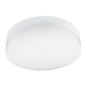 LED plafonsko svetlo za kupatilo LED/24W/230V 3000/4000/6000K O 28 cm IP44