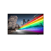 Profesionalni TV sprejemnik Philips 55BFL2214/12 (55, 4K UHD LED, Android,