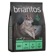 Briantos Adult jagnjetina & krompir - BREZ ŽIT - 4 x 1 kg