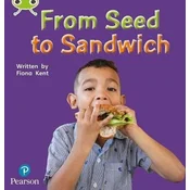 Bug Club Phonics Non-Fiction Early Years and Reception Phase 1 From Seed to Sandwich