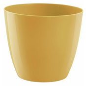Embalaža Ella - sijajni med 11 cm