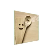 shumee Steklena zaščitna plošča za štedilnik 50x52 Spoon