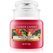 Yankee Candle Tropical Jungle dišeča sveča 104 g Classic majhna