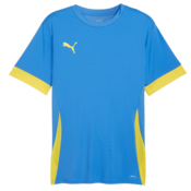 Dres Puma teamGOAL Matchday Jersey