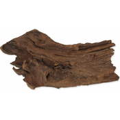 REPTI PLANET DriftWood Bulk S