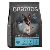 Briantos Adult Mini losos & krompir - BREZ ŽIT - 4 x 1 kg