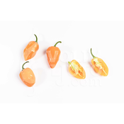 Habanero Orange – Sjemenke chili papricica