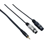 Bespeco EAYMS2FX300