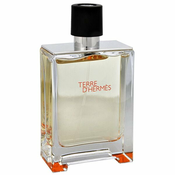 HERMES - Terre D `Hermes EDT Tester (100ml)