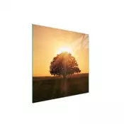 shumee STEKLENA ZAŠČITNA PLOŠČA ZA ŠTEDILNIK 50x52 TREE