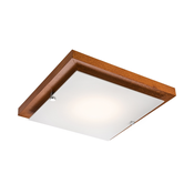Plafonsko svetlo 1xE27/60W/230V