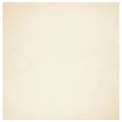 Vidaxl Preproga s kratkimi vlakni mehka pralna krem 240x240 cm