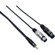 Bespeco EAYMS2FX150
