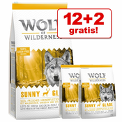 Wolf of Wilderness Rough Storms - pačetina - 2 x 12 kgBESPLATNA dostava od 299kn