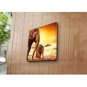Wallity Dekorativna slika na platnu, 45x45cm, Šarena
