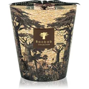 Baobab Collection Sacred Trees Mankono dišeča sveča 1100 g