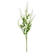 Ukrasna Grancica Phytolacca I -Paz-