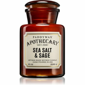 Paddywax Apothecary Sea Salt & Sage dišeča sveča 226 g