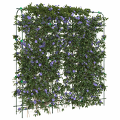 Vidaxl Vrtna oporna mreža za vzpenjavke U-okvir 181x31x182,5 cm jeklo