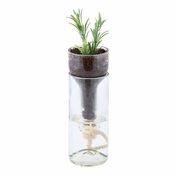 Steklen samozalivalni cvetlični lonček Esschert Design