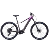 Električno gorsko kolo CRUSSIS E-FIONNA 10.11-L PANASONIC 894 Wh
