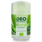 Deo Naturals Stick Aloe  - 100 g