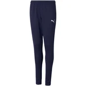Puma Teamrise Poly Training Jr Modra