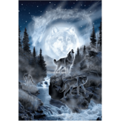 AnaTolian Moon Wolf Puzzle 500 kosov