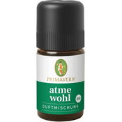 Mešanica dišav za lažje dihanje - 5 ml