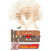 Hunter x Hunter, Vol. 25