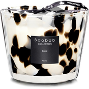 Baobab Black Pearls dišeča sveča  10 cm