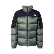 THE NORTH FACE Zunanja jakna DIABLO barva blata/črna/bela