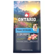 Hrana Ontario Puppy All Breeds Monoprotein Turkey & Sweet Potatoes 6,5kg