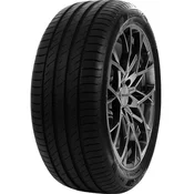 Letna DELINTE 245/50R18 TL 100W DS2