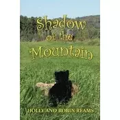 Shadow of the Mountain