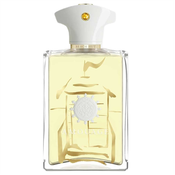 Amouage Beach Hut Man Eau de Parfum Parfimirana voda 100ml