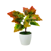 shumee Lončnica - Rjavo-zelena alokazija 37 cm
