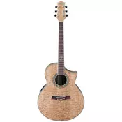 IBANEZ EW20ASE-NT elektro-akustična kitara
