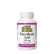 Natural Factors – Pantotenska kislina 250 mg (90 kapsul)