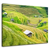 shumee Platno s tiskom Narava Kmečke terase 100x80 cm