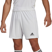 Adidas Hlače bela 182 - 187 cm/XL Squadra 21