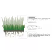 Hibridna trava Premium, 1x25m