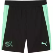 Puma Kratke hlace Switzerland Training w/ pockets