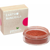 Provida Organics Satin Matte rdečilo - Soft Plum